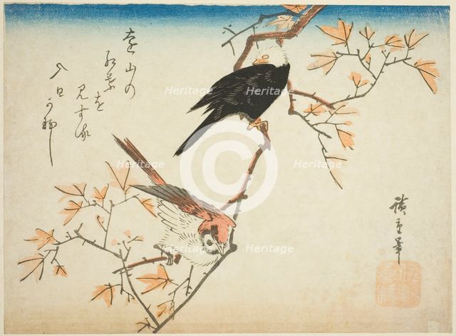 Two birds on maple branch, 1830s. Creator: Ando Hiroshige.