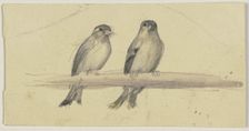 Two birds on a pole, 19th century. Creator: Jakob Becker