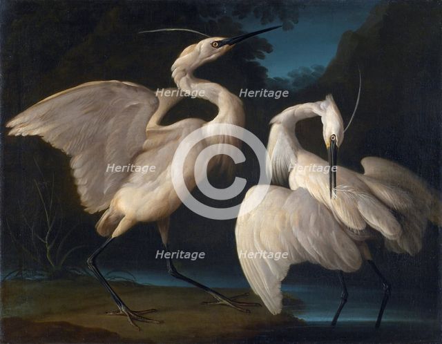 Two Birds, c1730-1740. Creator: Duranti, Giorgio (1683-1768).