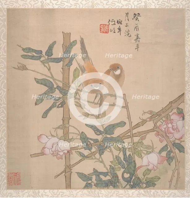 Two Birds Perched on a Flowering Rose Bush, late 19th century. Creator: Ren Yi.