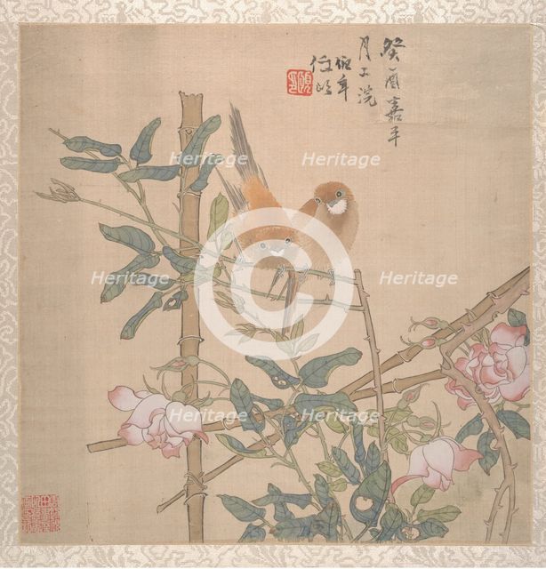 Two Birds Perched on a Flowering Rose Bush, late 19th century. Creator: Ren Yi.