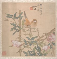 Two Birds Perched on a Flowering Rose Bush, late 19th century. Creator: Ren Yi