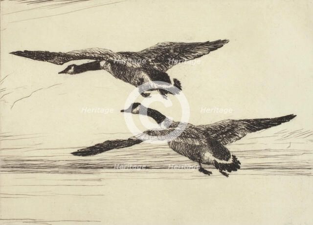 Two Black Geese, 1931. Creator: Frank Weston Benson.