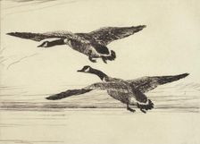 Two Black Geese, 1931. Creator: Frank Weston Benson