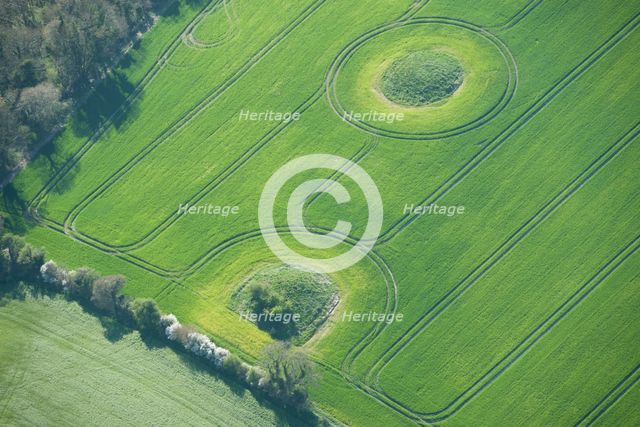 Two bowl barrows showing as earthworks on North Hill, Winterbourne Steepleton, Dorset, 2015. Creator: Historic England.