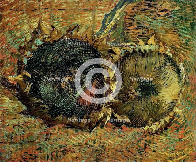 Two cutted sunflowers, 1887. Creator: Gogh, Vincent, van (1853-1890).