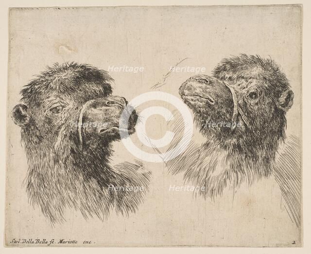 Two Camel Heads, ca. 1641. Creator: Stefano della Bella.