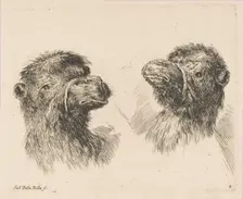 Two Camel Heads, ca. 1641. Creator: Stefano della Bella