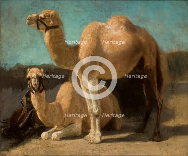 Two Camels, between 1852-1853. Creator: Henryk Rodakowski.