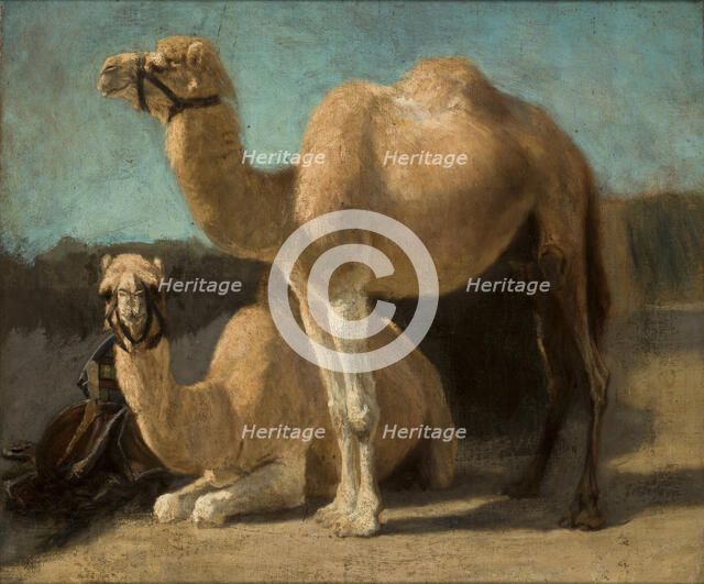 Two Camels, between 1852-1853. Creator: Henryk Rodakowski.