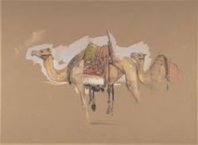 Two Camels, ca. 1843. Creator: John Frederick Lewis