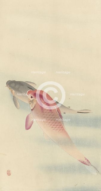 Two carp. Creator: Ohara, Koson (1877-1945).