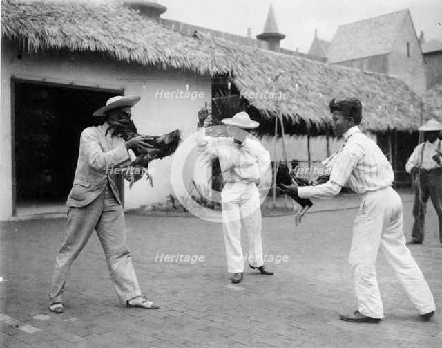 Two cock-fighters and referee at the World's Columbian Exposition, Chicago, Illinois, 1892 or 1893. Creator: Frances Benjamin Johnston.
