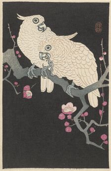 Two cockatoos on branch with plum blossom, 1925-1936. Creator: Ohara, Koson (1877-1945)