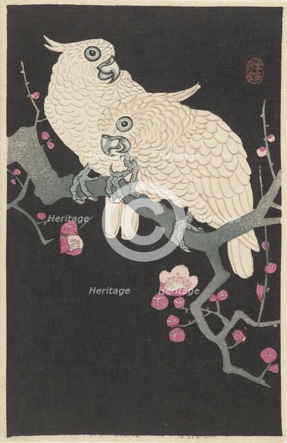 Two cockatoos on branch with plum blossom, 1925-1936. Creator: Ohara, Koson (1877-1945).