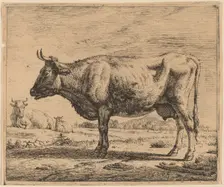 Two Cows and a Sheep, c. 1657/1659. Creator: Adriaen van de Velde