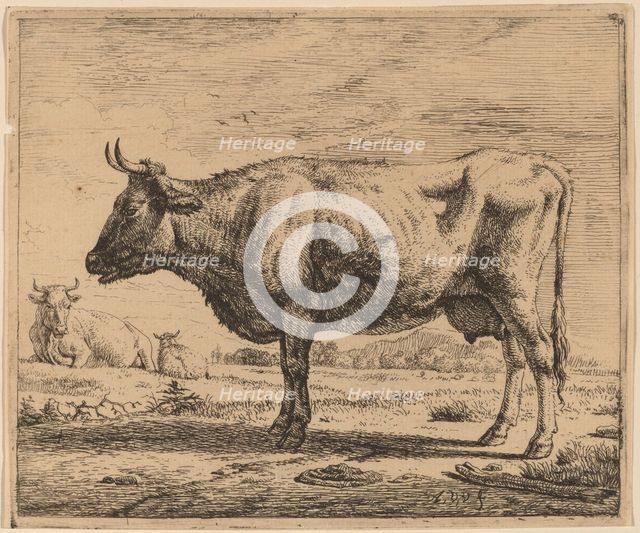 Two Cows and a Sheep, c. 1657/1659. Creator: Adriaen van de Velde.