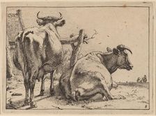 Two Cows Seen from Behind, 1650. Creator: Paulus Potter