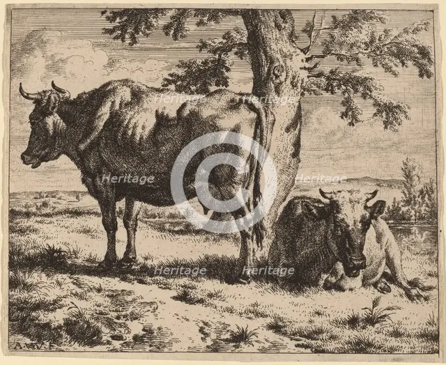 Two Cows under a Tree, c. 1670. Creator: Adriaen van de Velde.