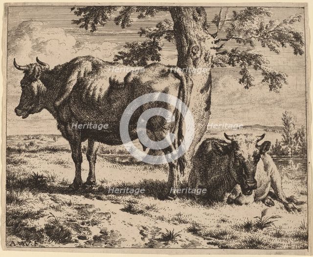 Two Cows under a Tree, c. 1670. Creator: Adriaen van de Velde.
