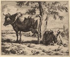 Two Cows under a Tree, c. 1670. Creator: Adriaen van de Velde