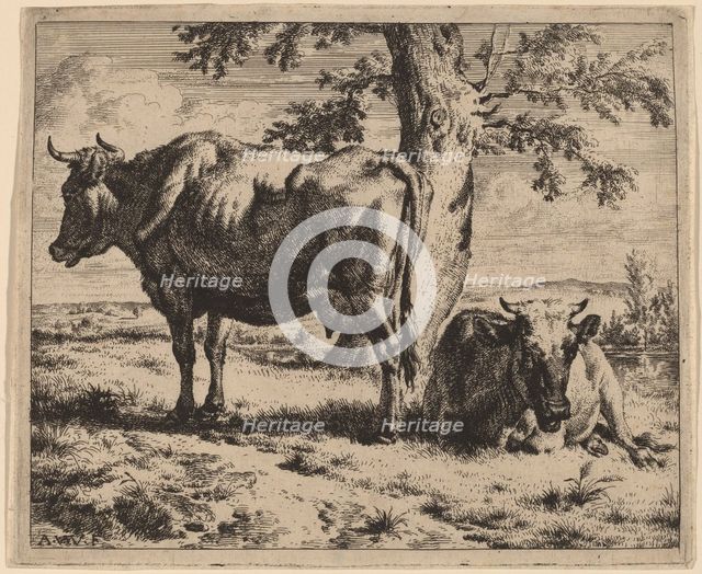 Two Cows under a Tree, c. 1670. Creator: Adriaen van de Velde.