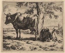 Two Cows under a Tree, c. 1670. Creator: Adriaen van de Velde