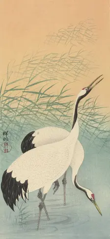 Two cranes, 1925-1936. Creator: Ohara, Koson (1877-1945)