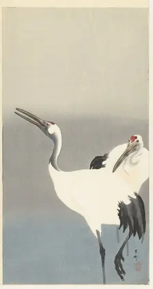 Two cranes, 1920-1930. Creator: Ohara, Koson (1877-1945)