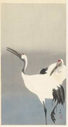 Two cranes, 1920-1930. Creator: Ohara, Koson (1877-1945)