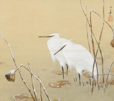 Two cranes in the snow. Creator: Koka, Maeda (1847-1916)