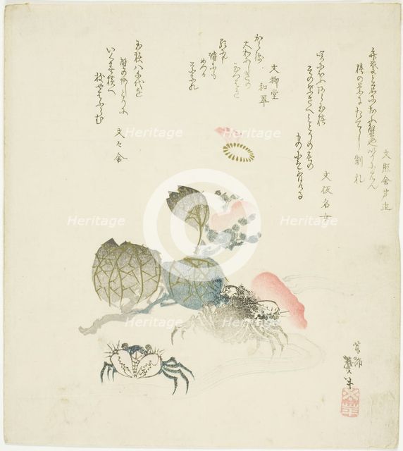 Two crabs by a spray of camellia, Japan, late 1820s-early 1830s. Creator: Katsushika Taito.