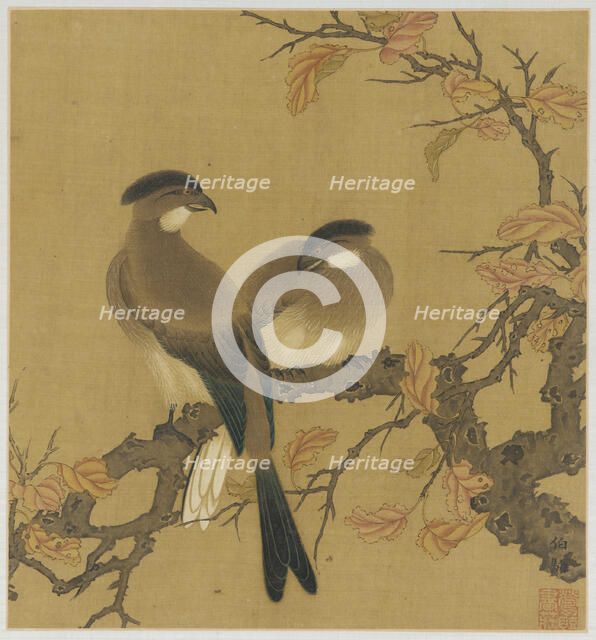 Two crested birds on a branch; autumn leaves, Qing dynasty, 18th century. Creator: Unknown.