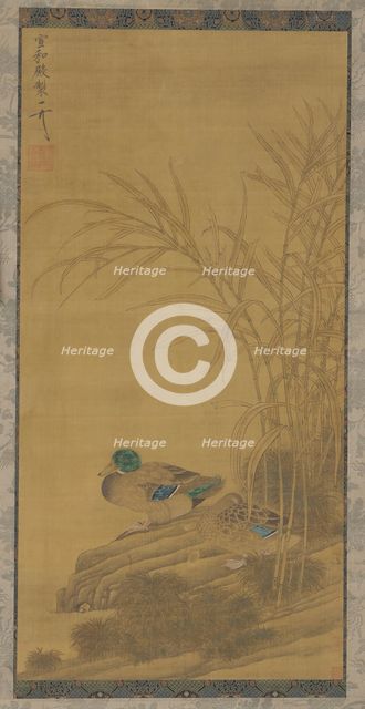 Two ducks among reeds at the water's edge, Ming or Qing dynasty, 15th-18th century. Creator: Unknown.