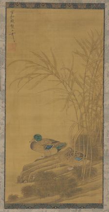 Two ducks among reeds at the water's edge, Ming or Qing dynasty, 15th-18th century. Creator: Unknown