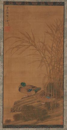 Two ducks among reeds at the water's edge, Ming or Qing dynasty, 15th-18th century. Creator: Unknown