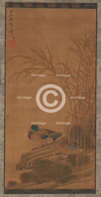 Two ducks among reeds at the water's edge, Ming or Qing dynasty, 15th-18th century. Creator: Unknown.