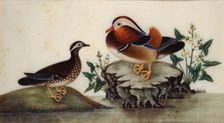 Two ducks and flowering water plants by a pond, late 19th century. Creator: Sunqua