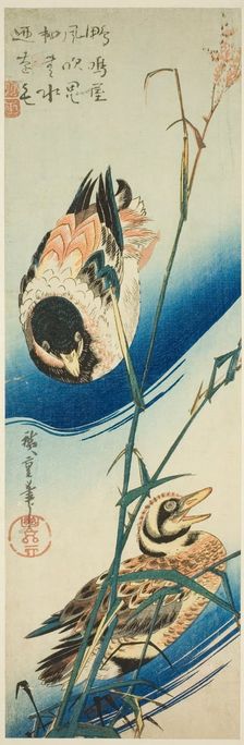 Two Ducks Swimming Among Reeds, c. 1834/39. Creator: Ando Hiroshige