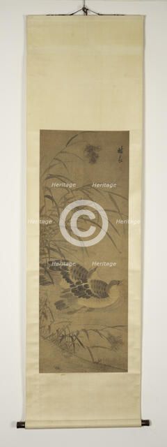 Two ducks under reeds. Creator: Lin Liang.