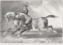 Two Dappled-Grey Horses Being Exercised, 1822. Creator: Theodore Gericault