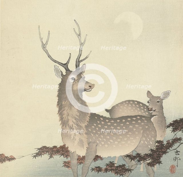 Two Deer, Between 1910 and 1920. Creator: Ohara, Koson (1877-1945).
