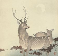 Two Deer, Between 1910 and 1920. Creator: Ohara, Koson (1877-1945)