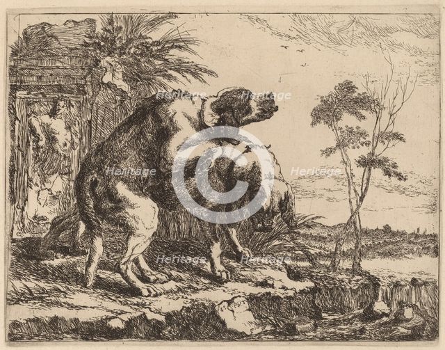 Two Dogs Copulating, probably c. 1640/1642. Creator: Jan Fyt.