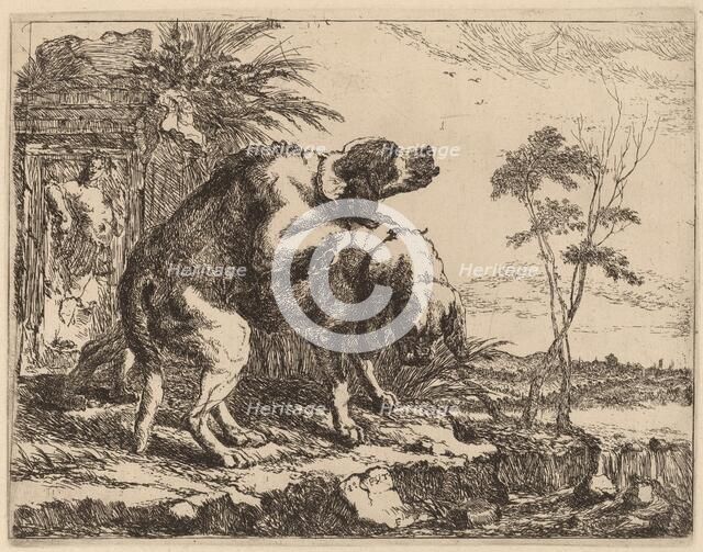 Two Dogs Copulating, probably c. 1640/1642. Creator: Jan Fyt.