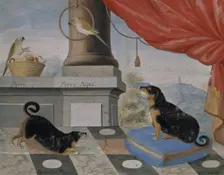 Two dogs and two parrots on a balcony, 1724. Creator: Philip Thelott