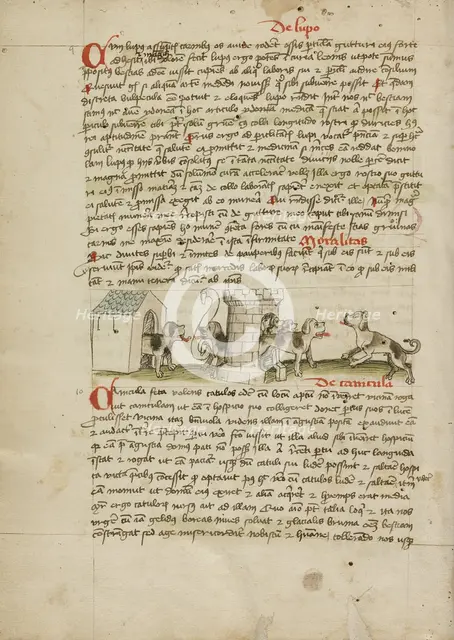 Two Dogs Barking and Cubs; Fables, third quarter of 15th century. Creator: Unknown.