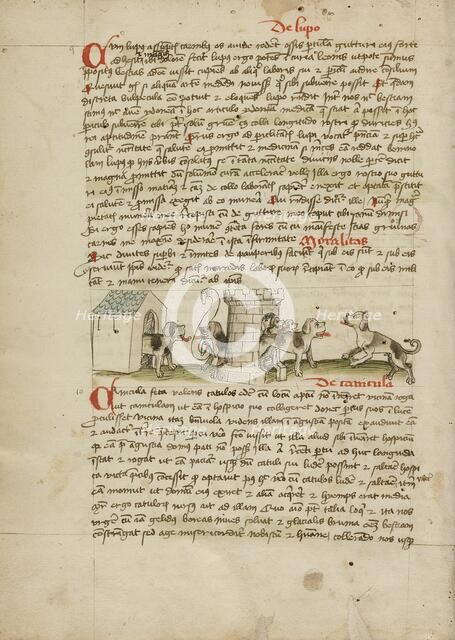 Two Dogs Barking and Cubs; Fables, third quarter of 15th century. Creator: Unknown.