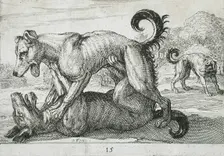 Two Dogs Fighting, 1610. Creator: Hendrick Hondius I