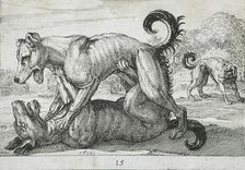 Two Dogs Fighting, 1610. Creator: Hendrick Hondius I